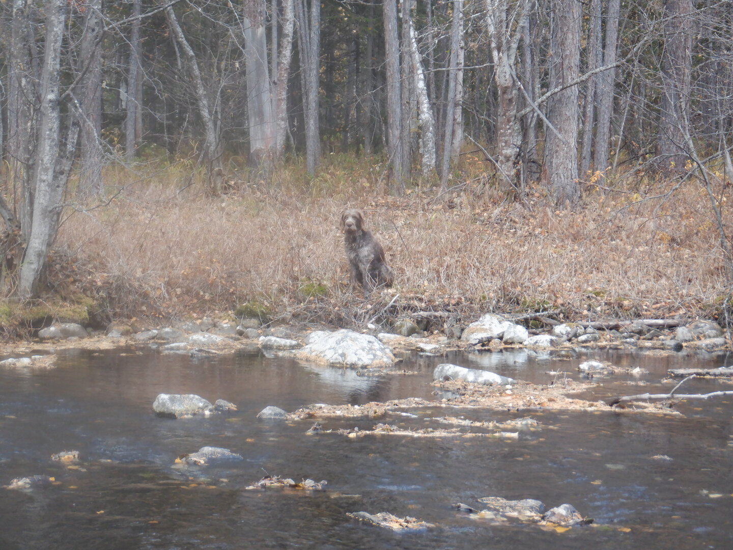 DSCF9086.JPG