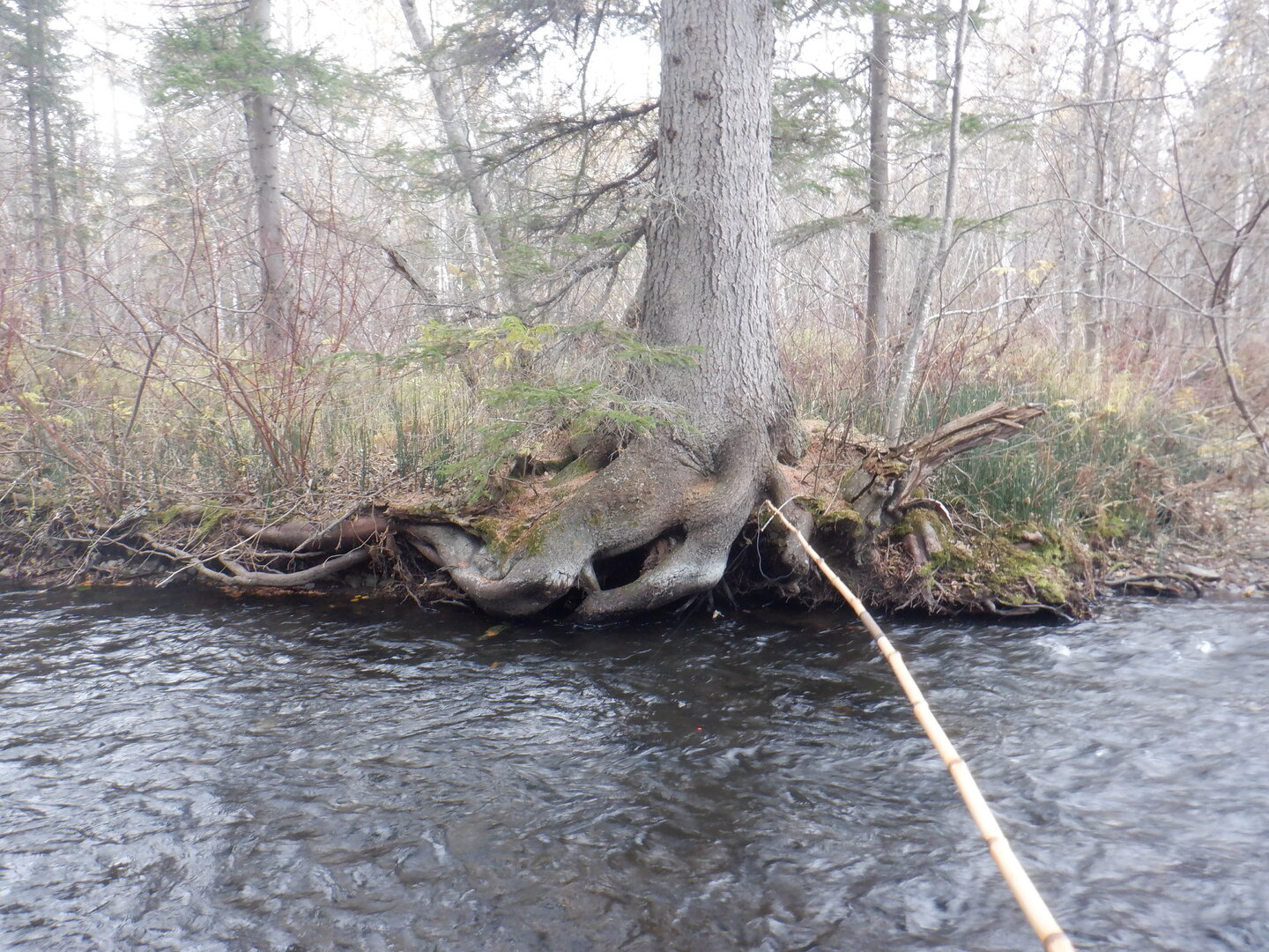 DSCF9094.JPG