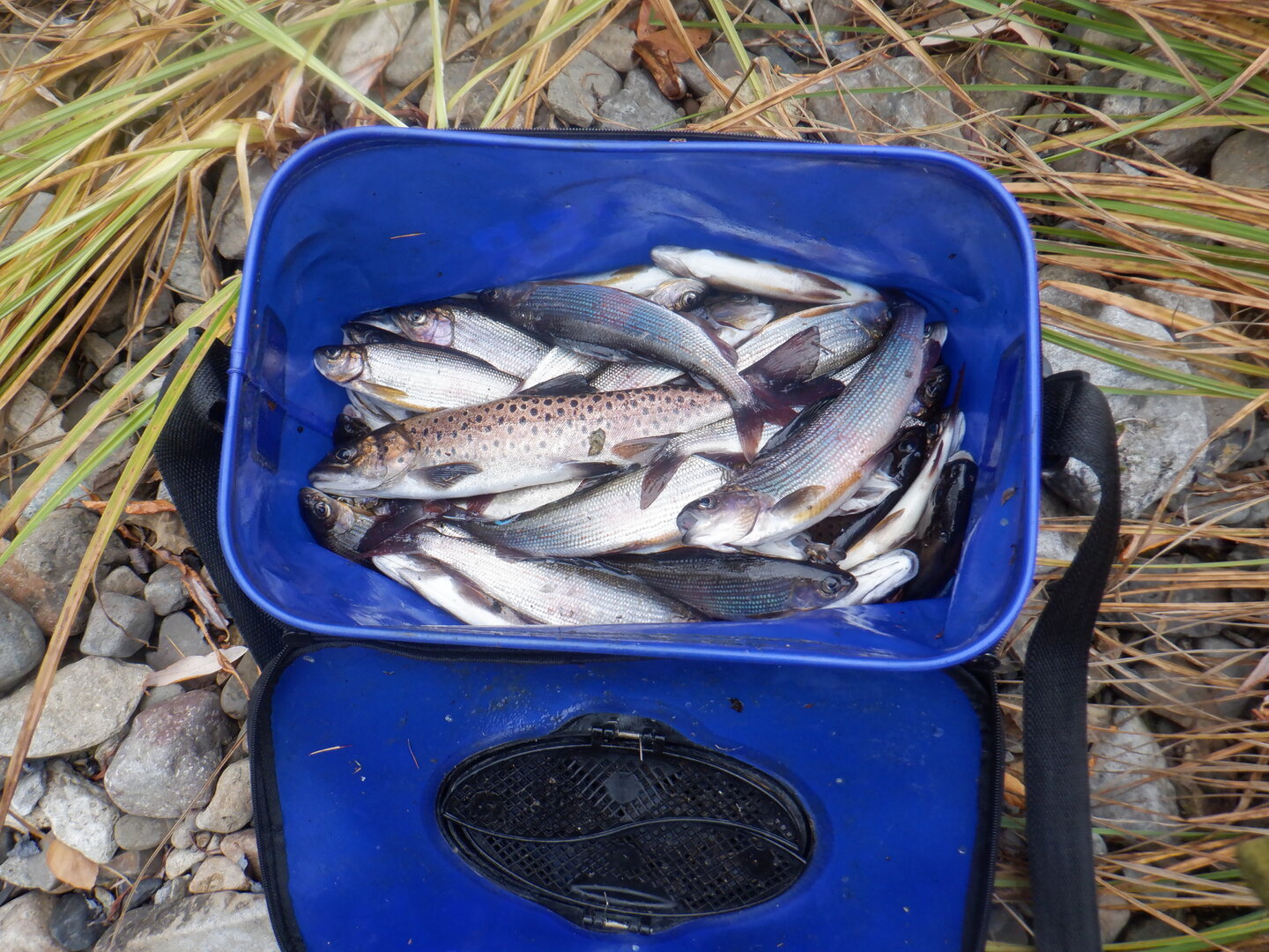DSCF9095.JPG