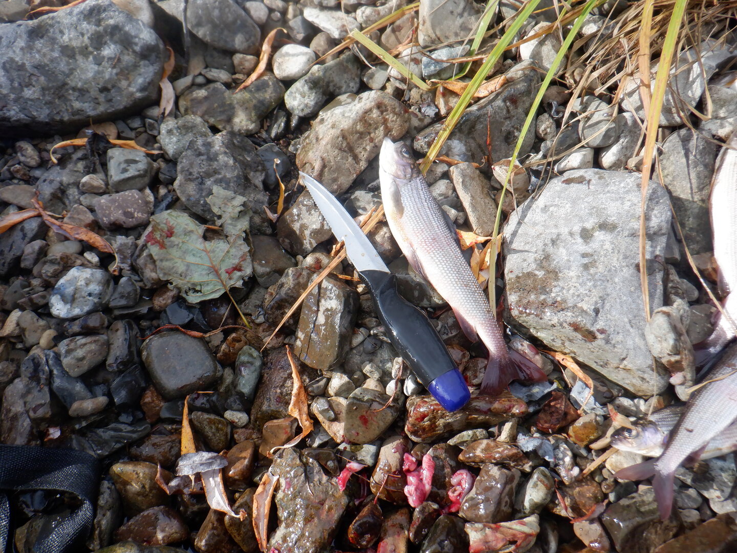 DSCF9097.JPG