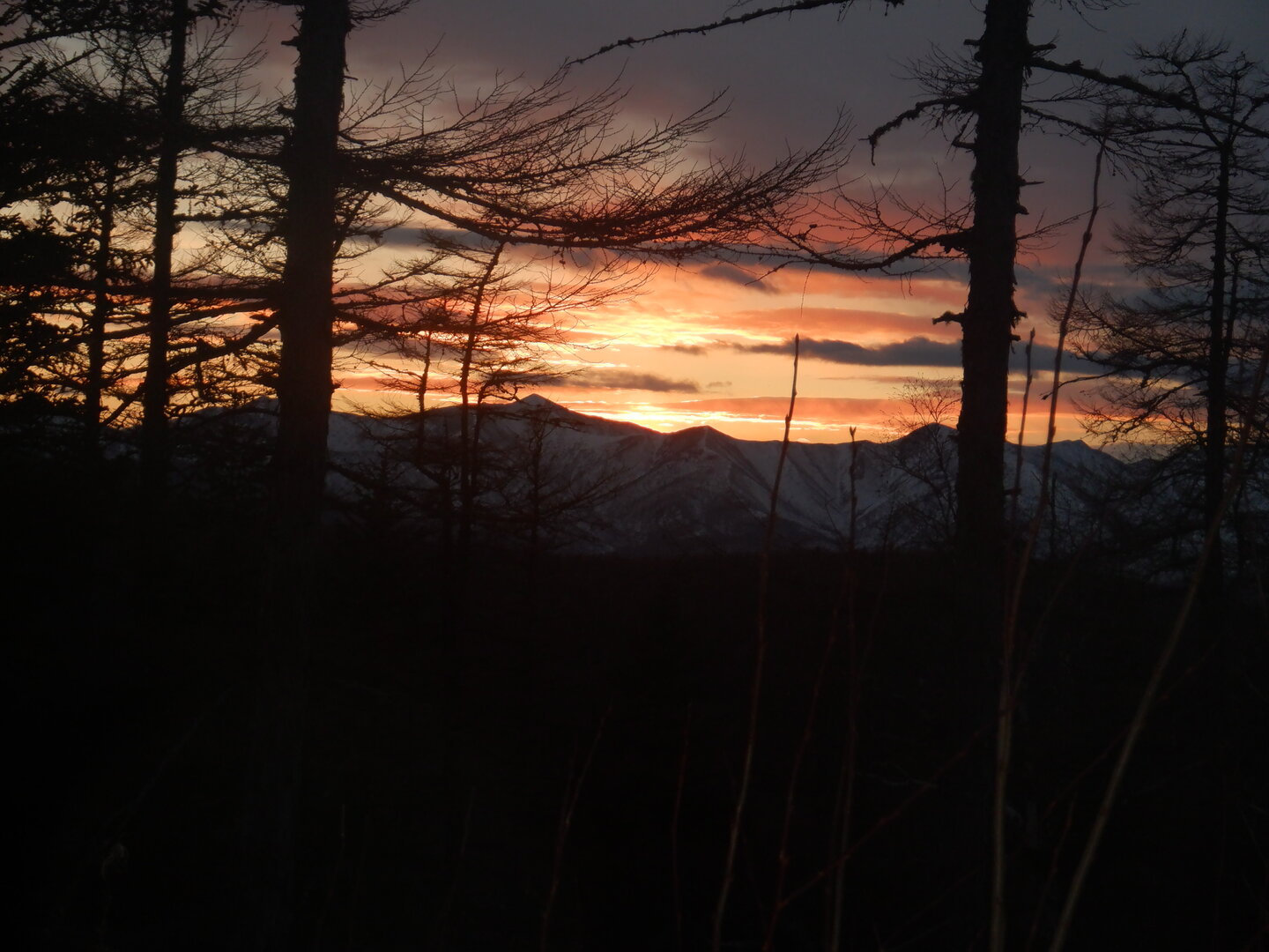 DSCF9130.JPG
