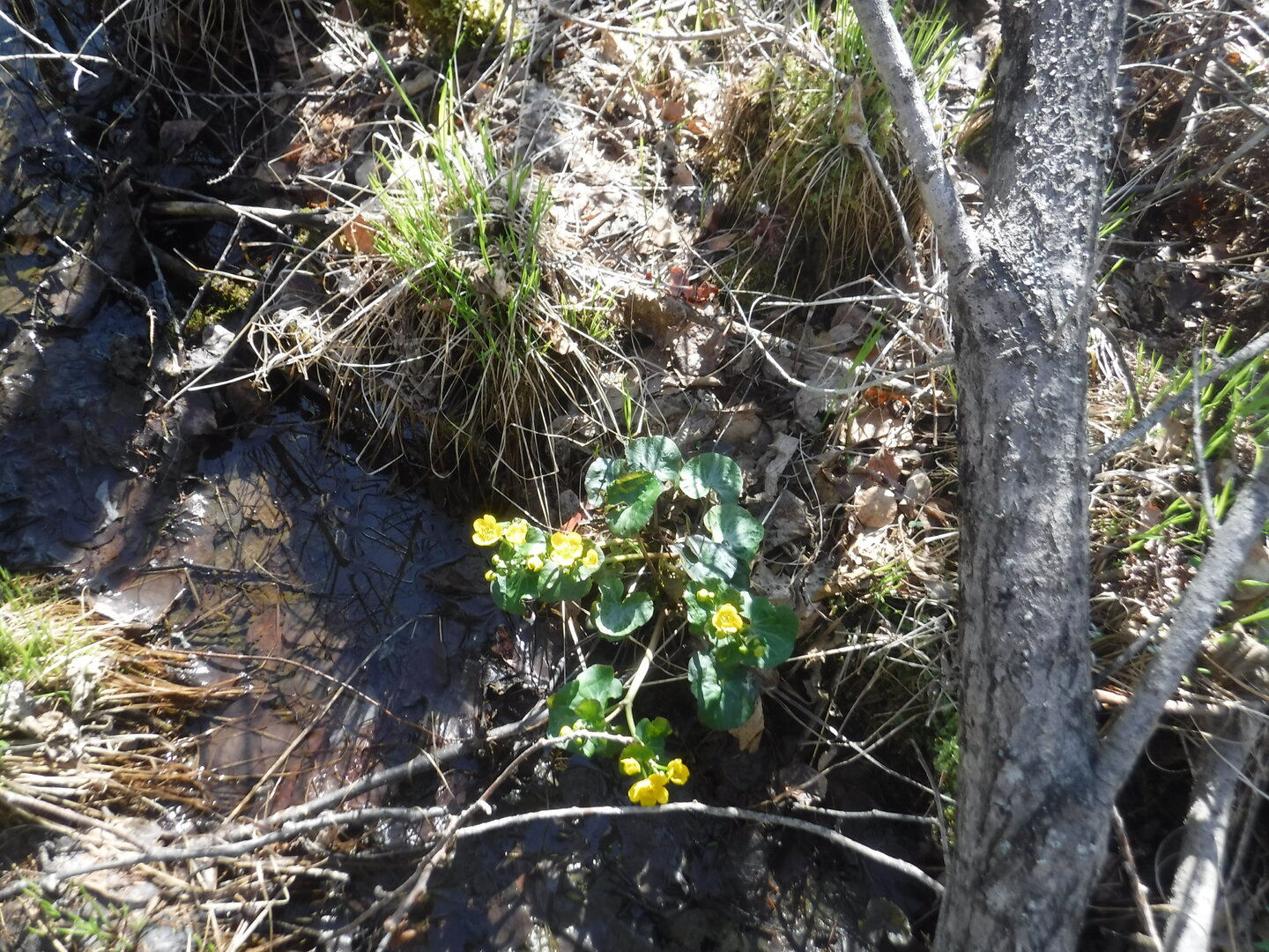 DSCF9142.JPG