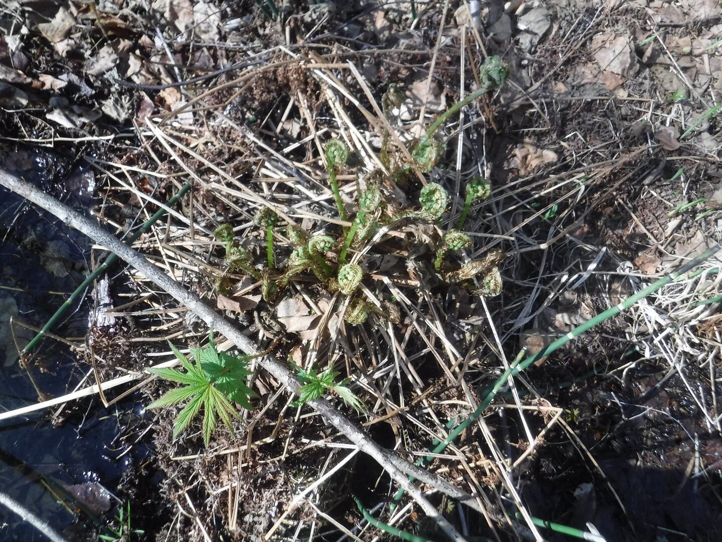 DSCF9144.JPG