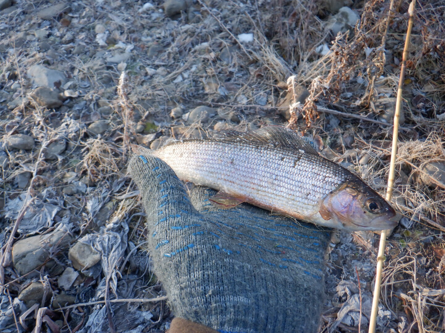 DSCF9149.JPG