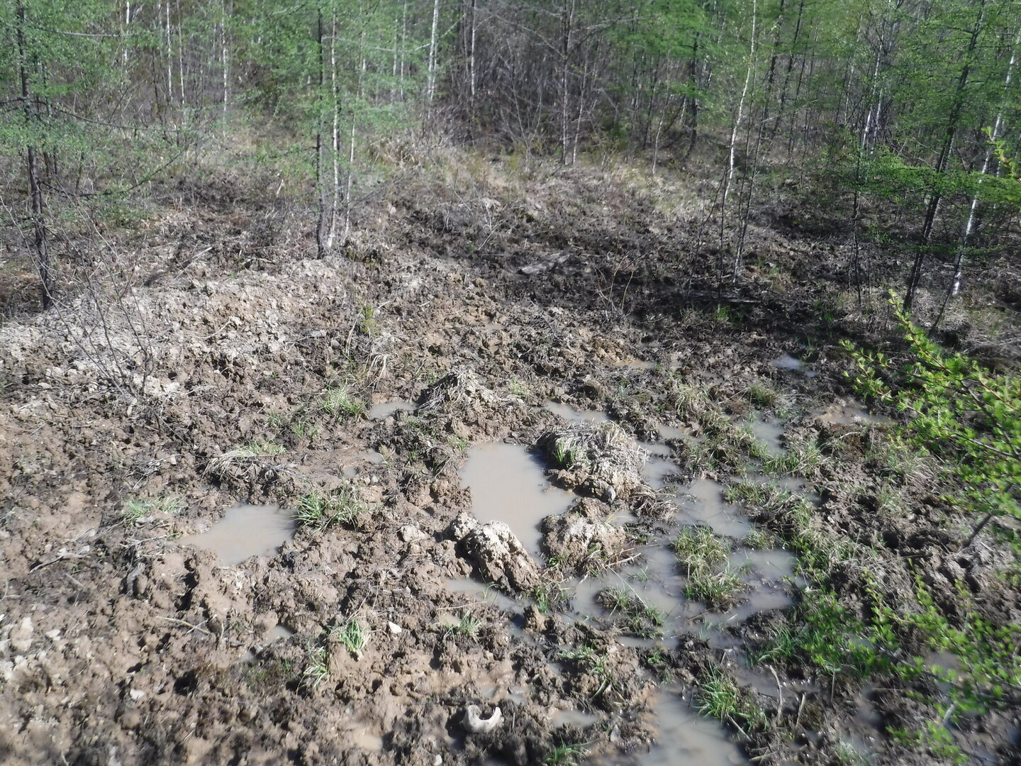 DSCF9150.JPG