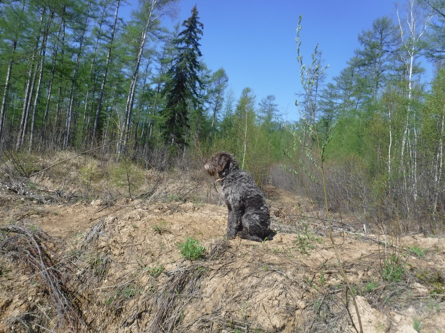 DSCF9152.JPG