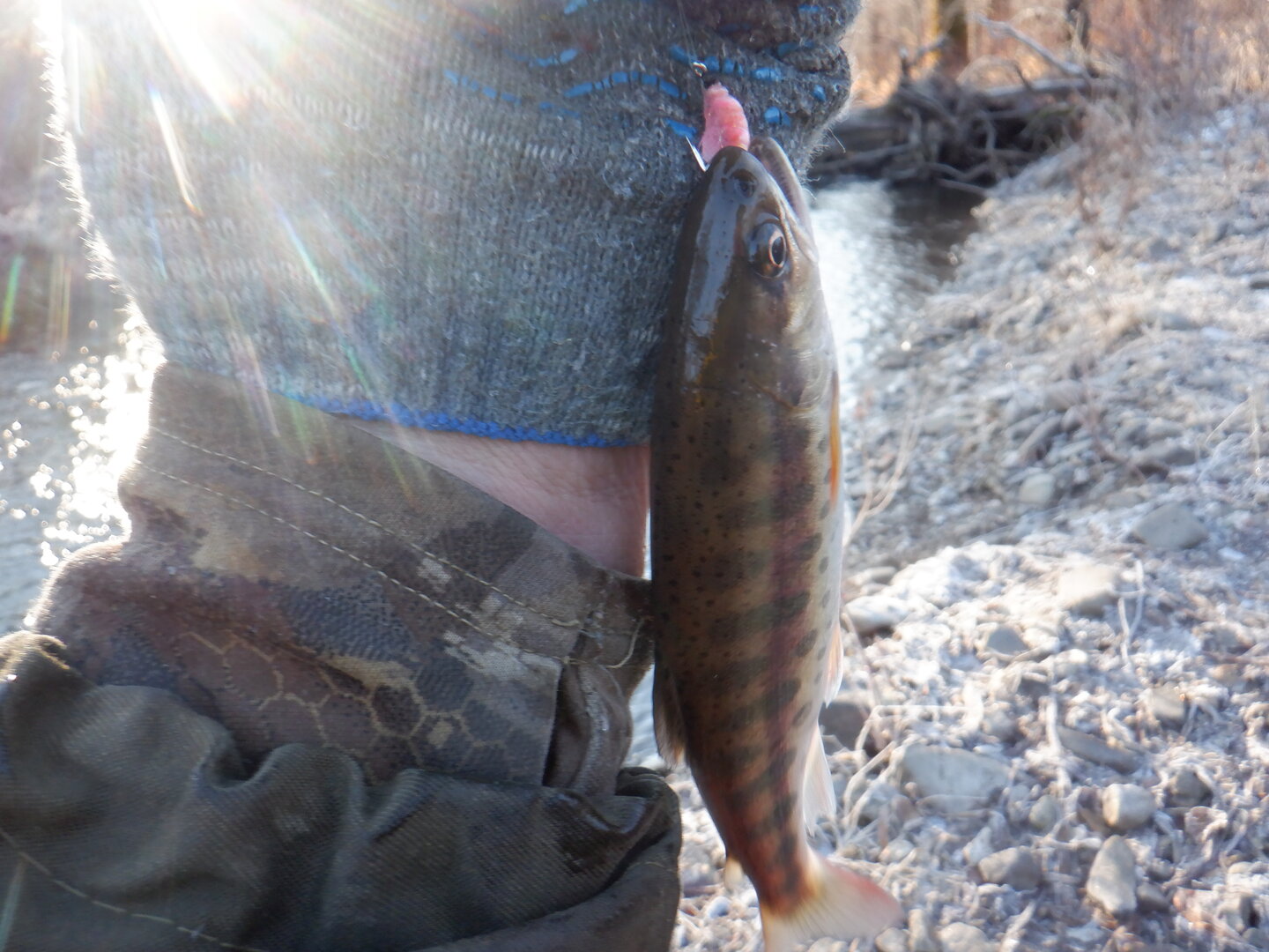 DSCF9153.JPG