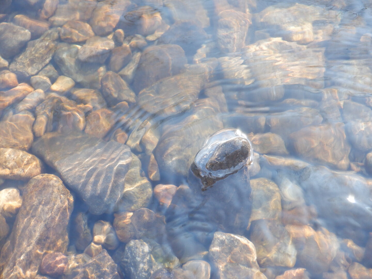 DSCF9155.JPG