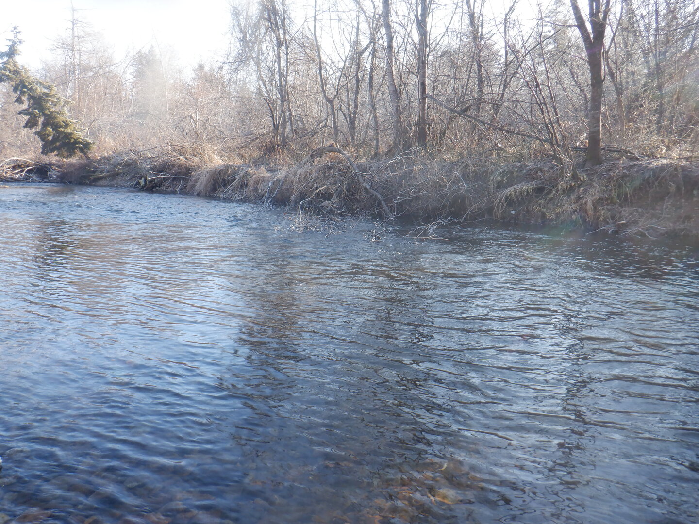 DSCF9156.JPG