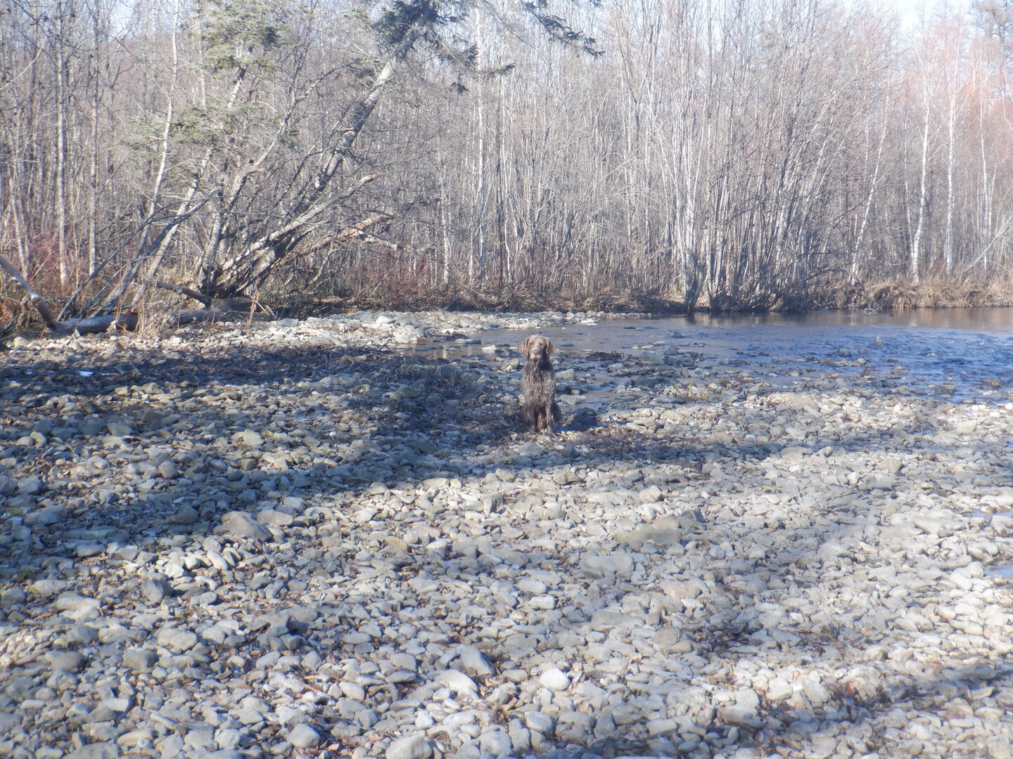 DSCF9157.JPG