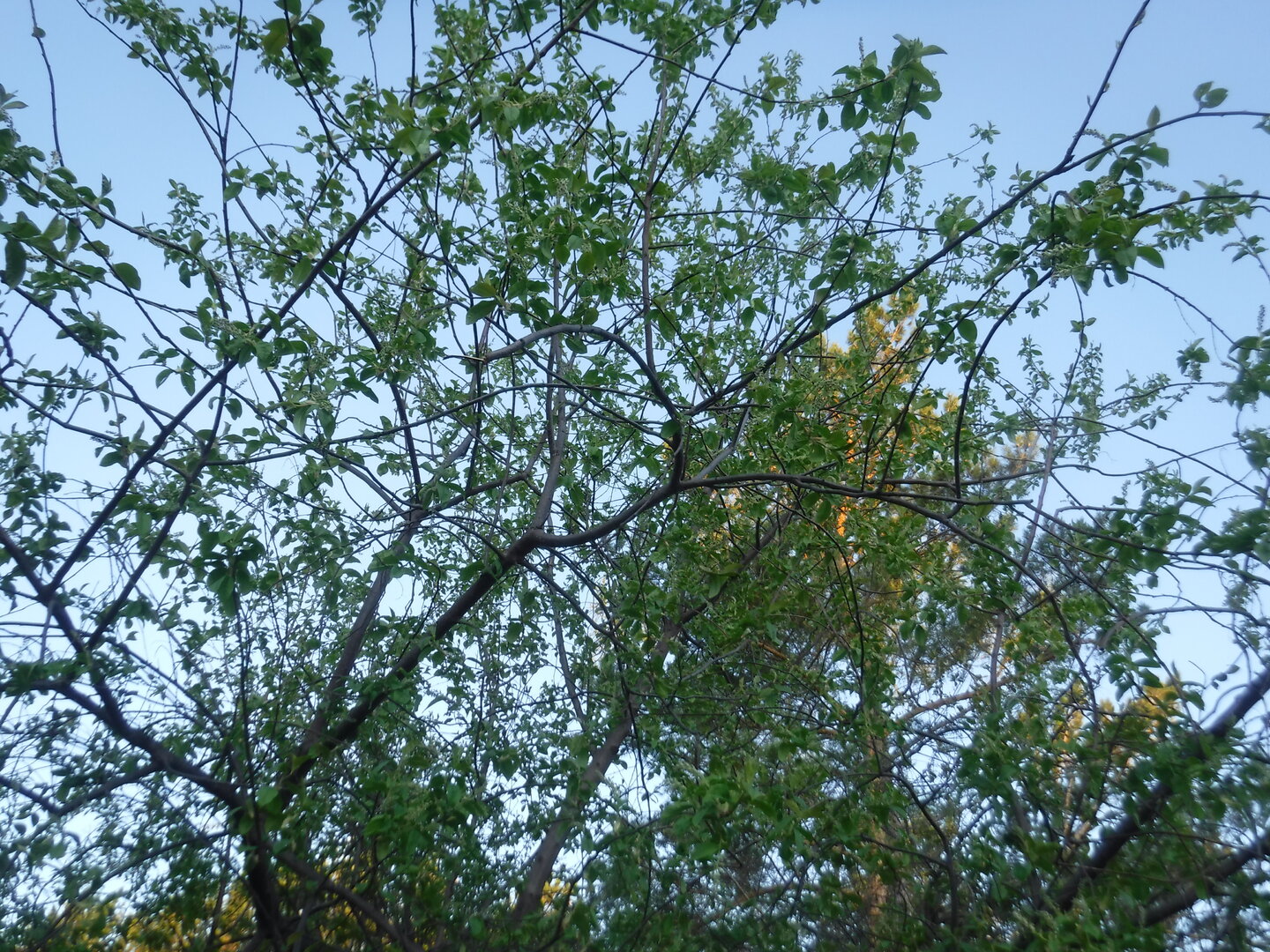DSCF9157.JPG