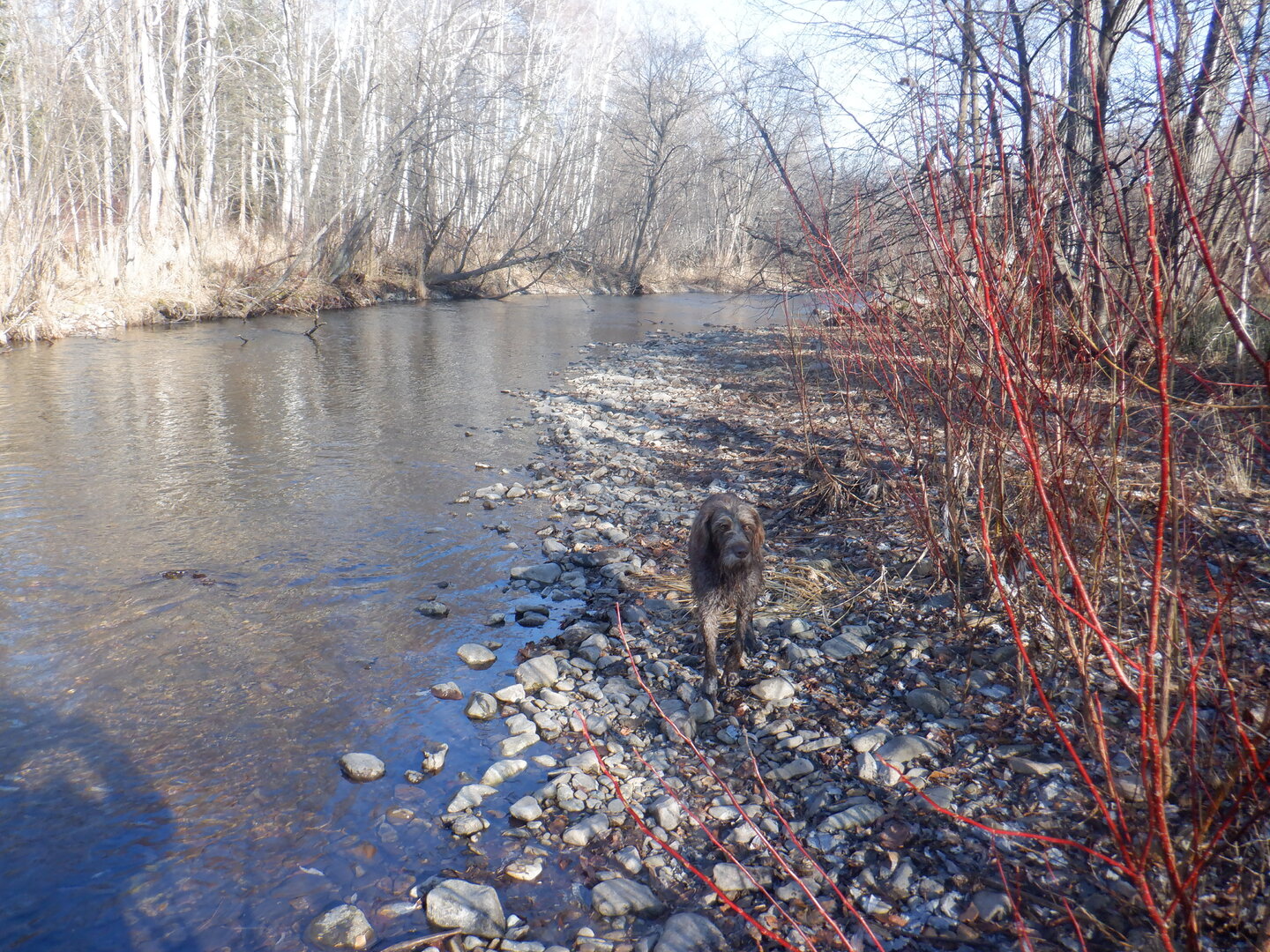 DSCF9158.JPG