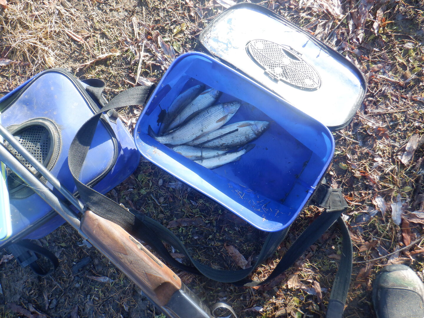 DSCF9160.JPG