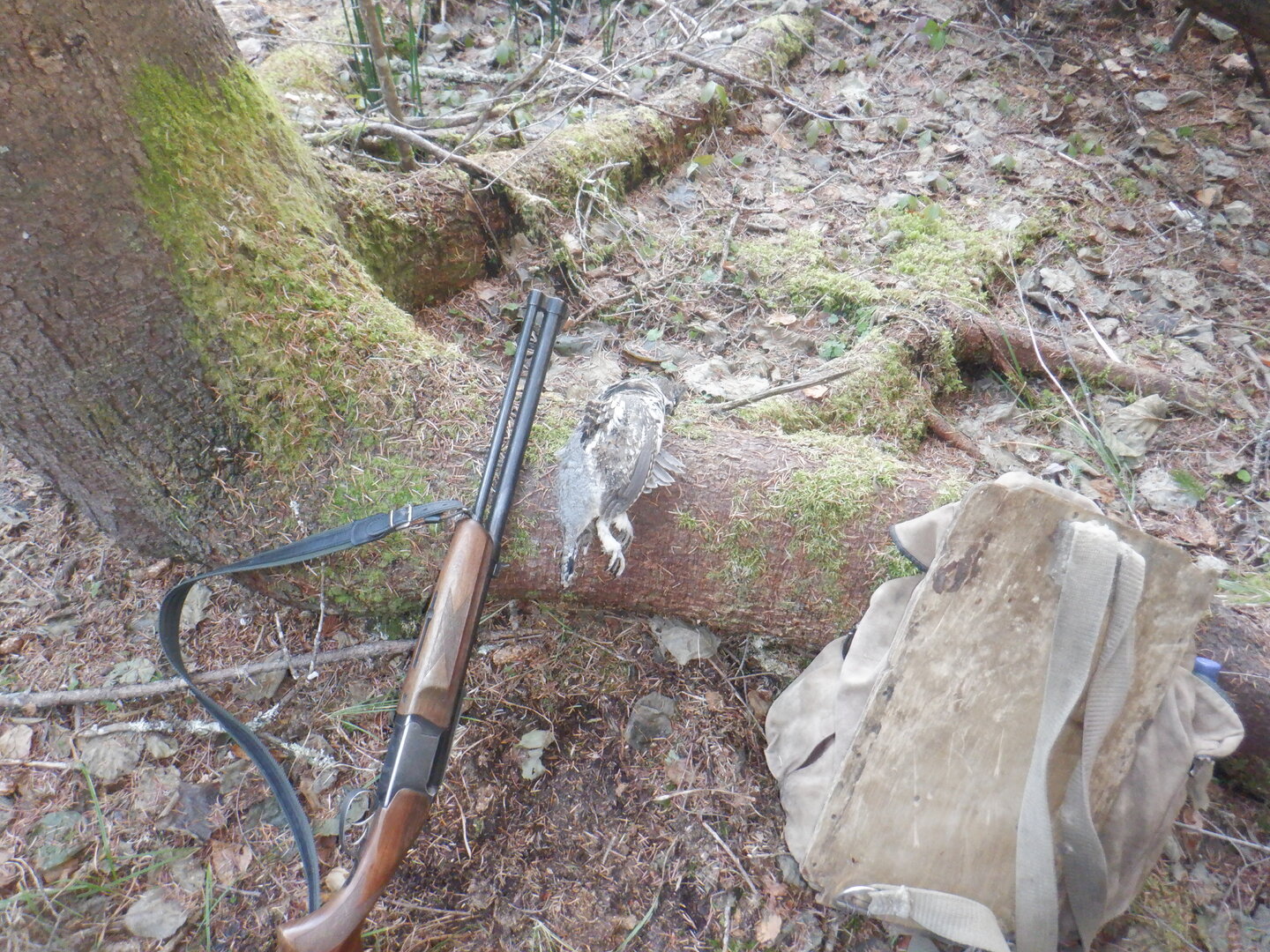 DSCF9165.JPG