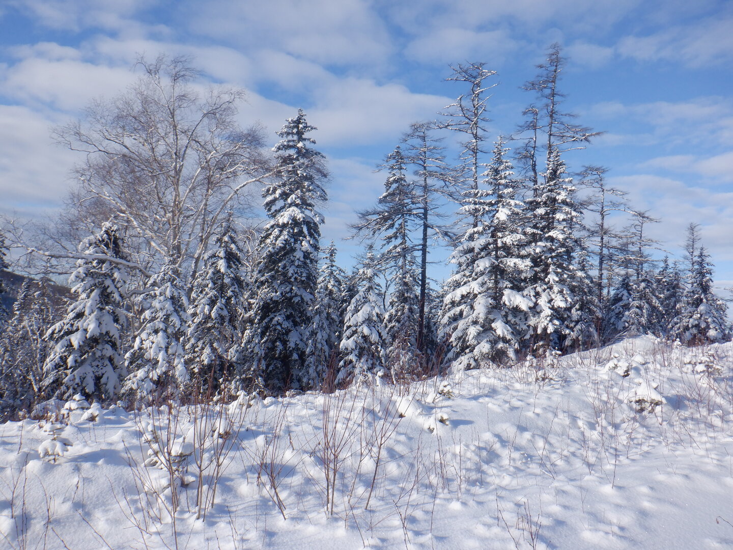DSCF9182.JPG