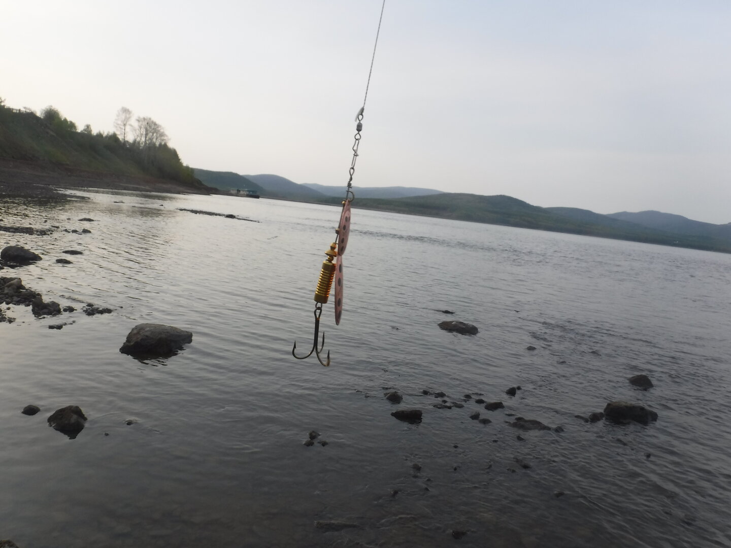 DSCF9189.JPG