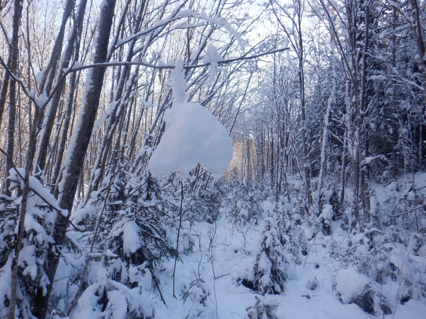 DSCF9195.JPG