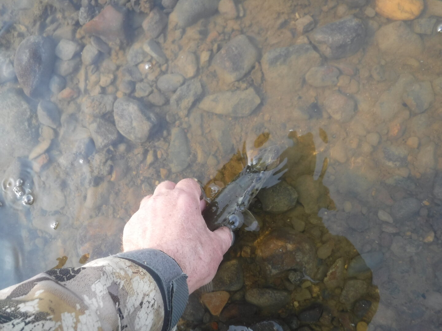DSCF9200.JPG