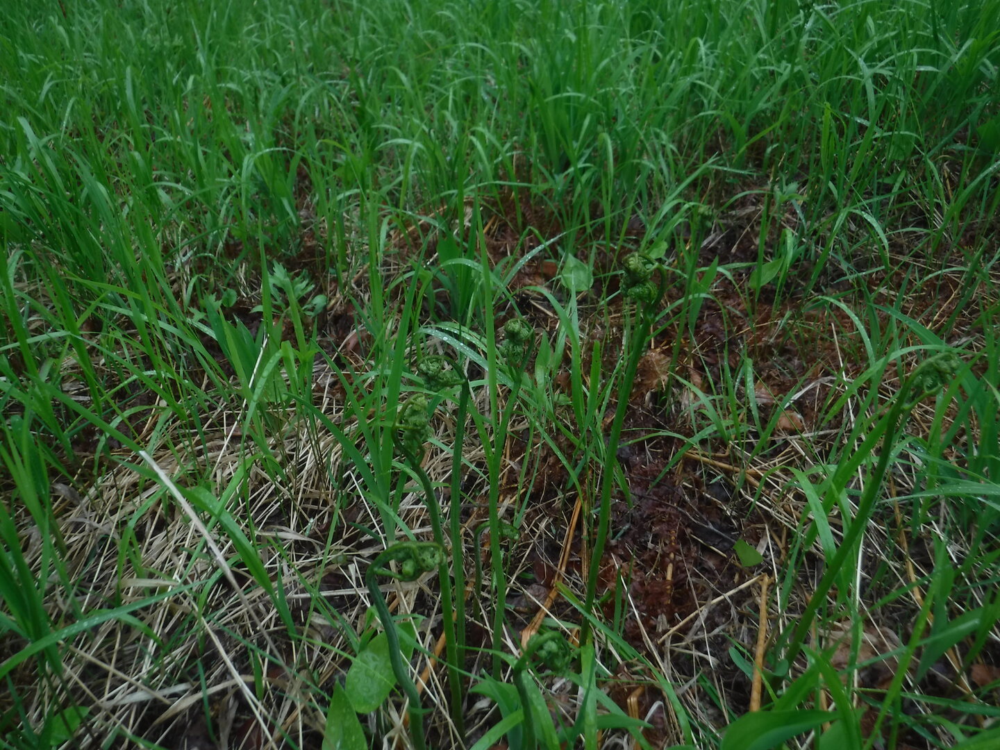 DSCF9244.JPG