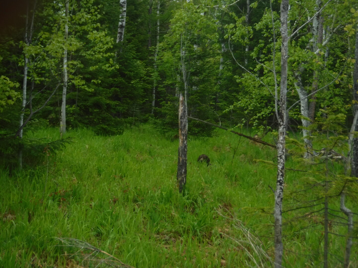 DSCF9247.JPG