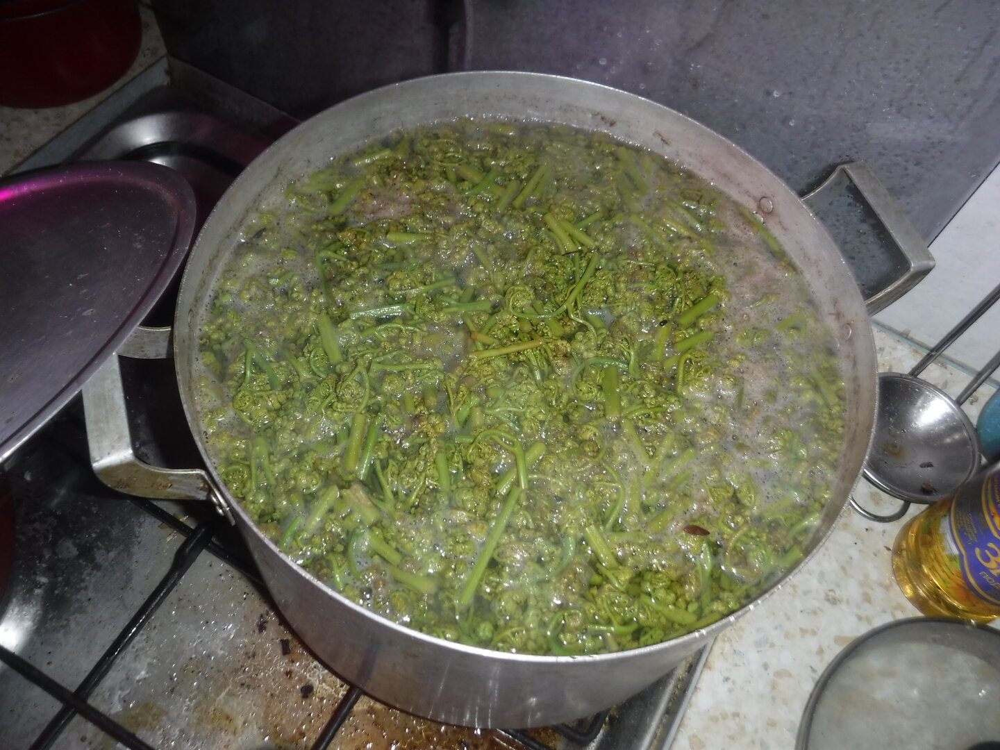 DSCF9250.JPG