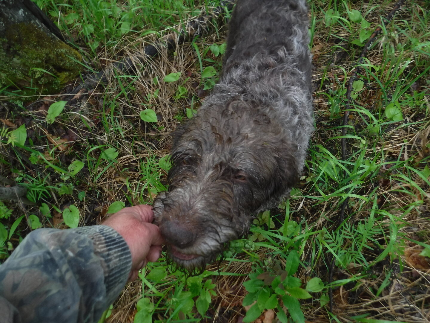 DSCF9252.JPG