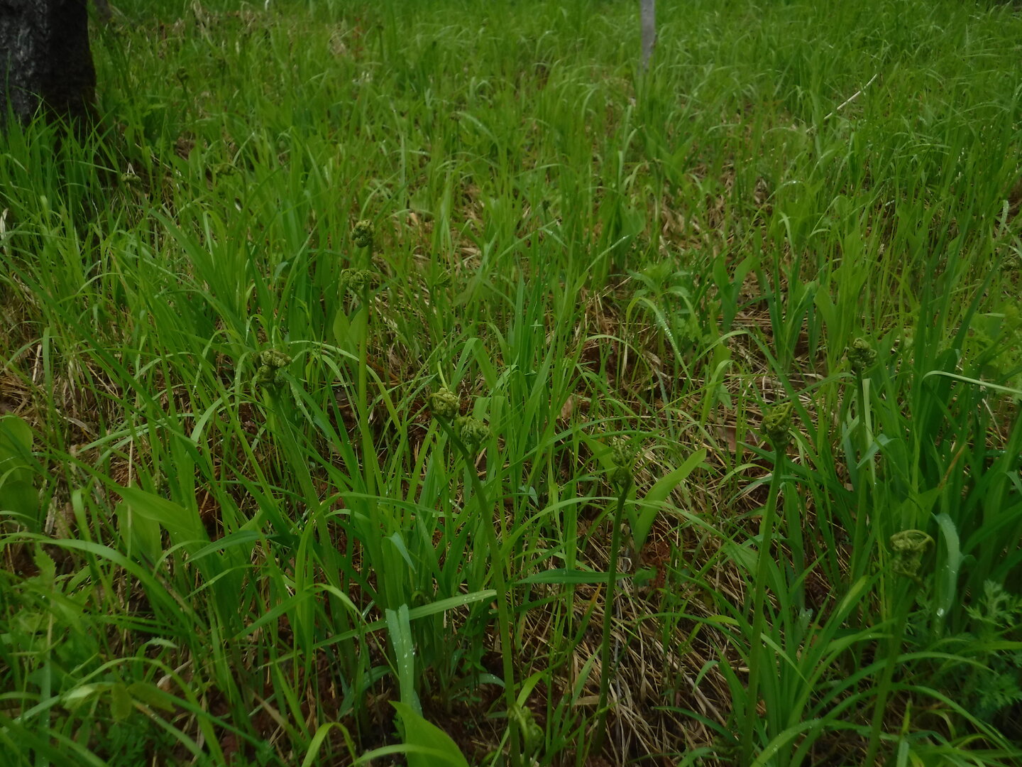 DSCF9257.JPG