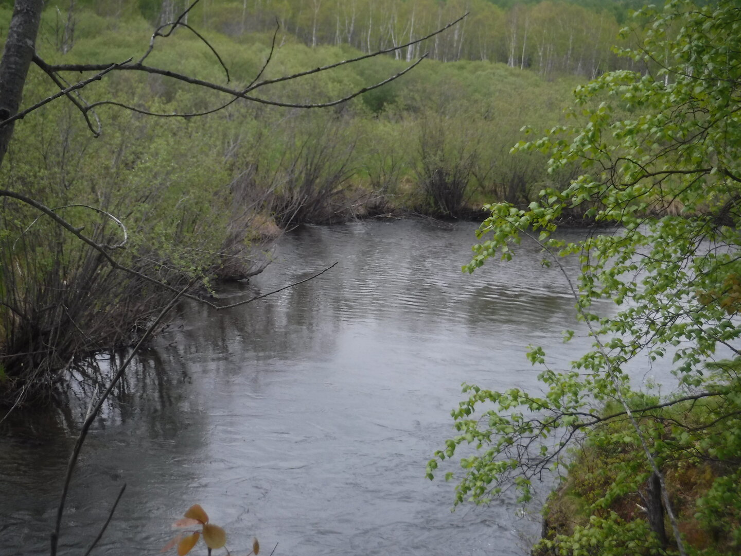 DSCF9266.JPG