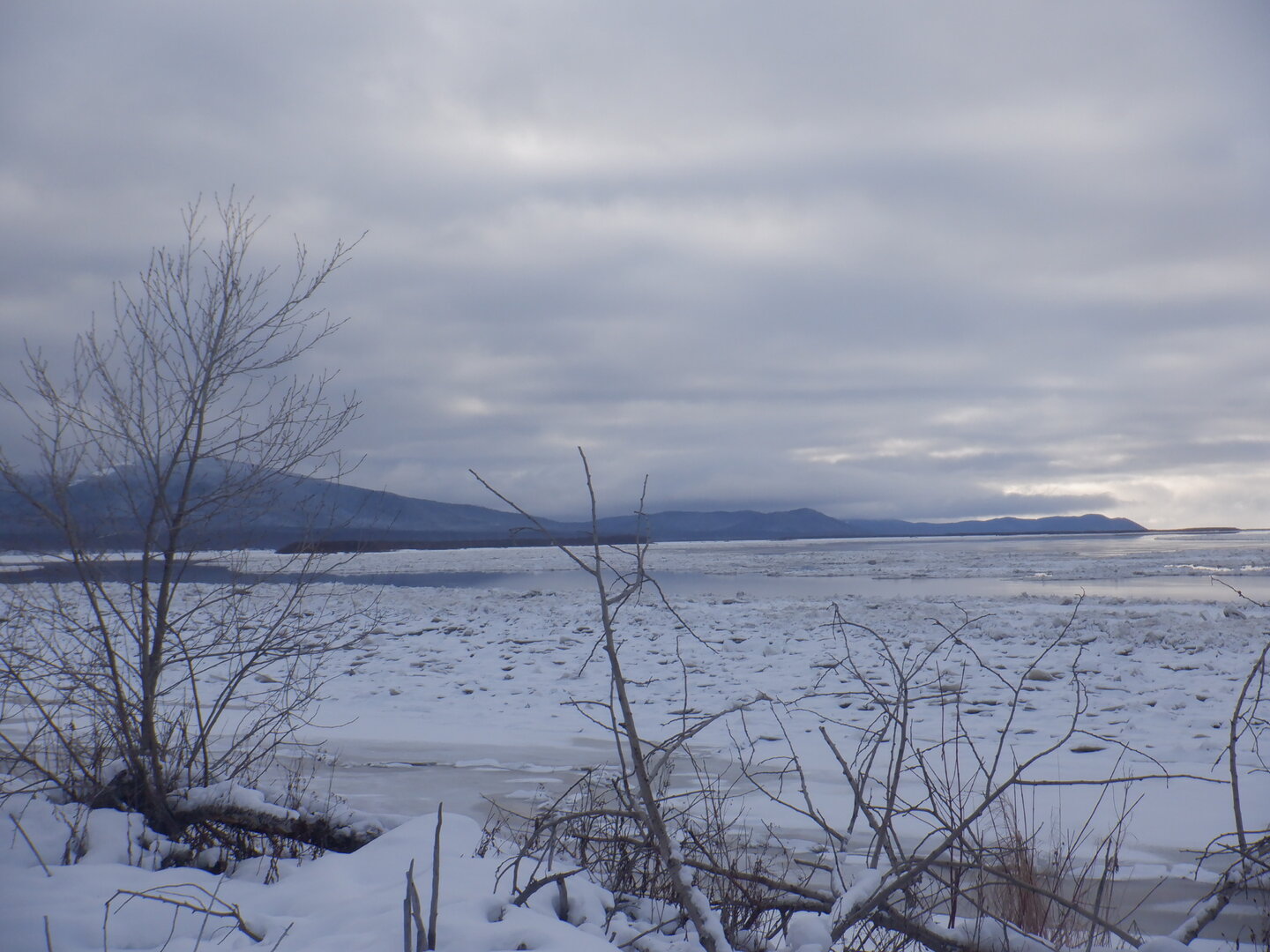 DSCF9271.JPG