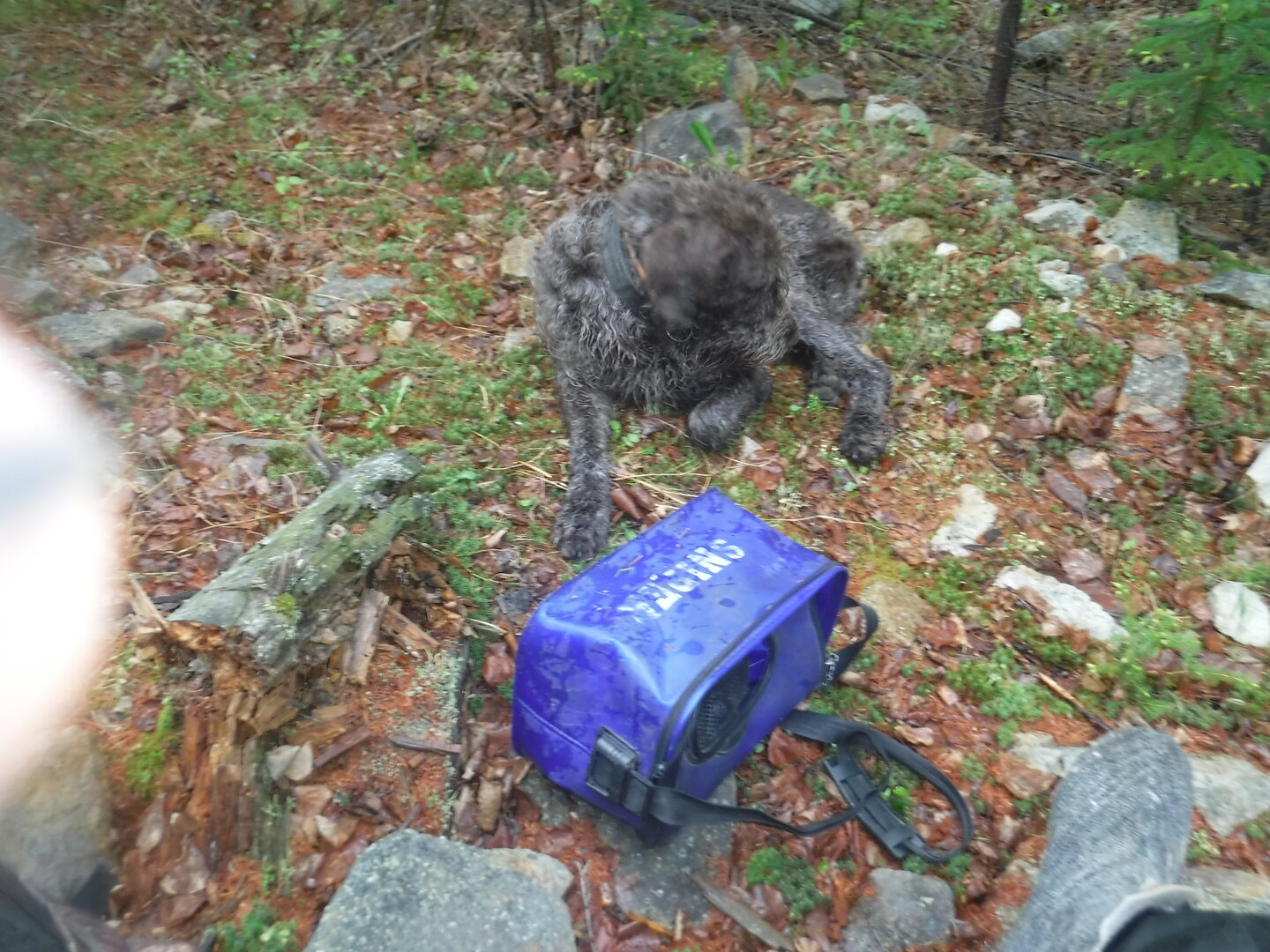 DSCF9271.JPG
