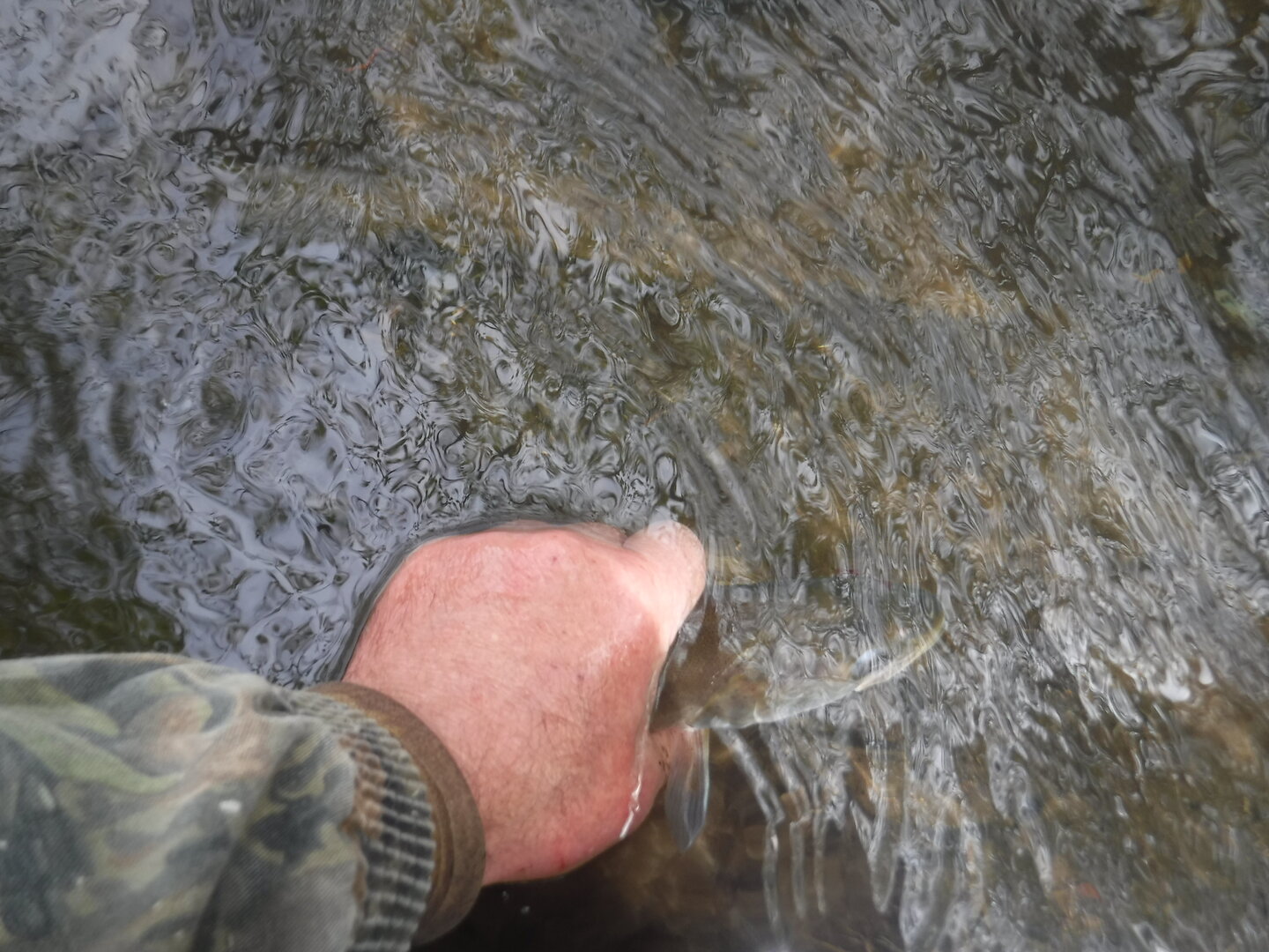 DSCF9278.JPG