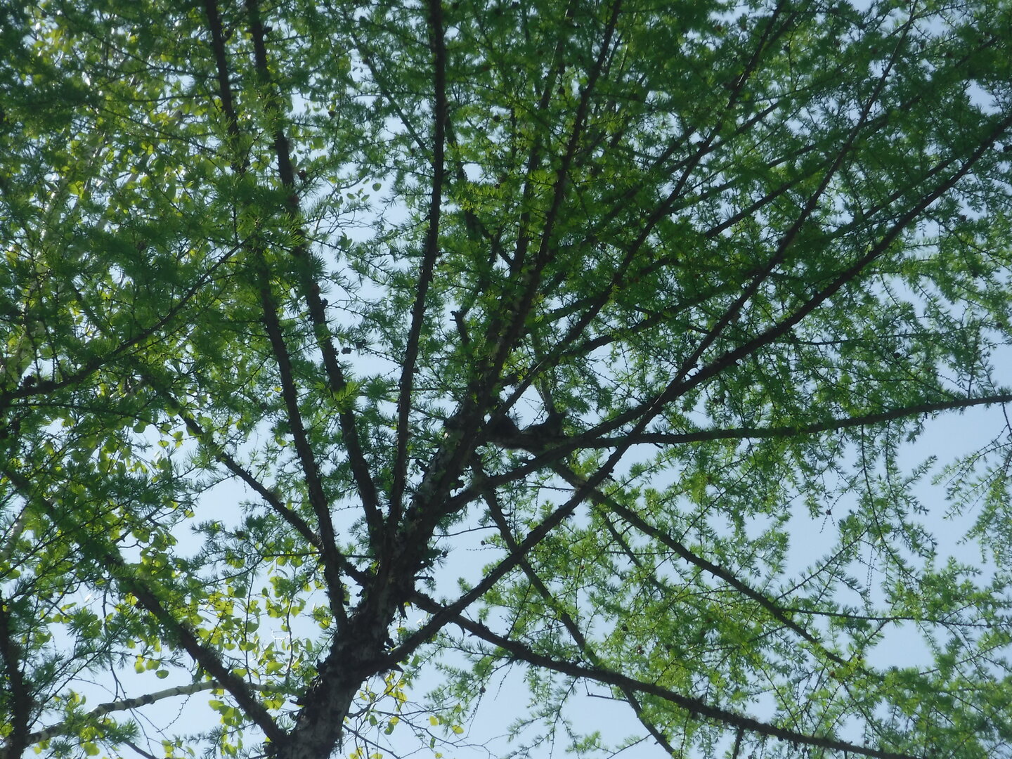 DSCF9281.JPG