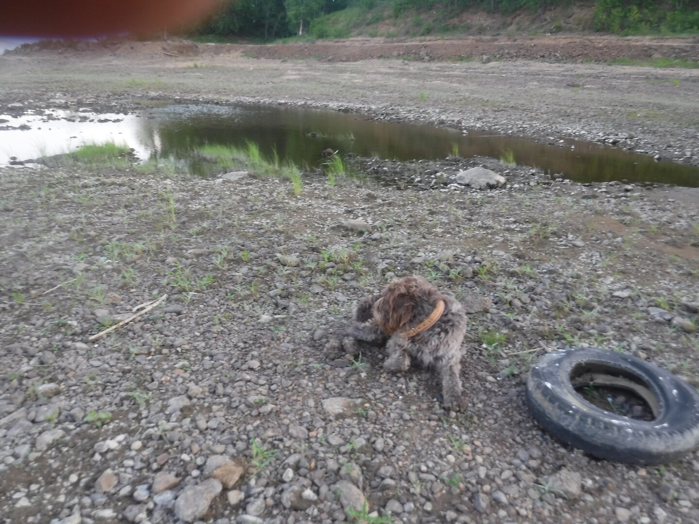 DSCF9295.JPG