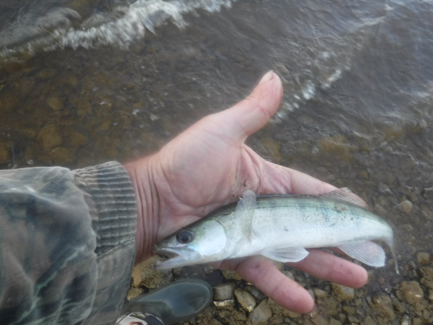 DSCF9296.JPG