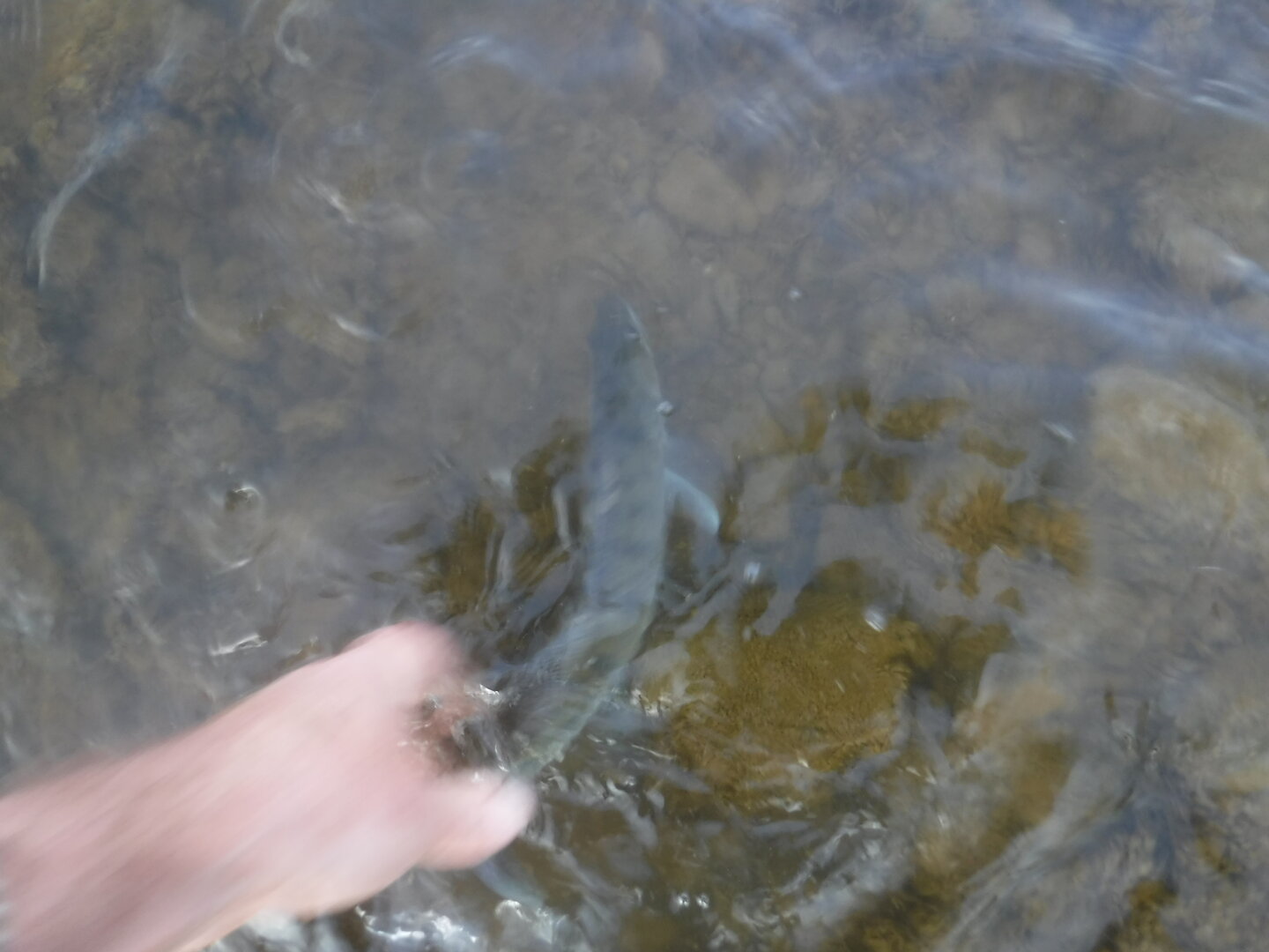 DSCF9297.JPG