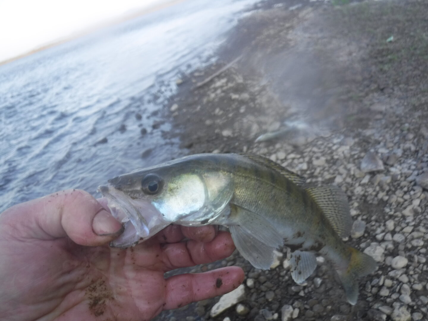 DSCF9305.JPG