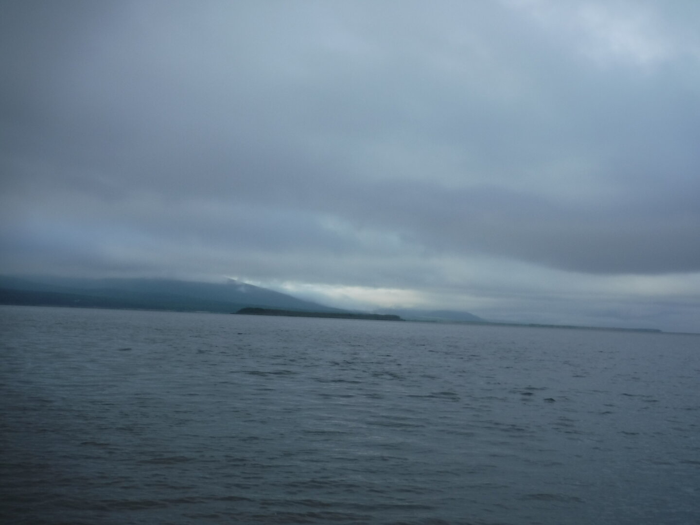 DSCF9335.JPG