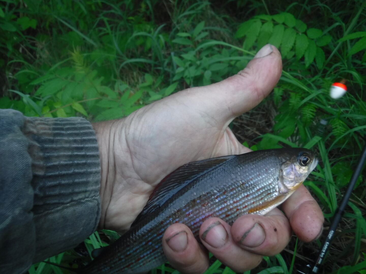 DSCF9343.JPG