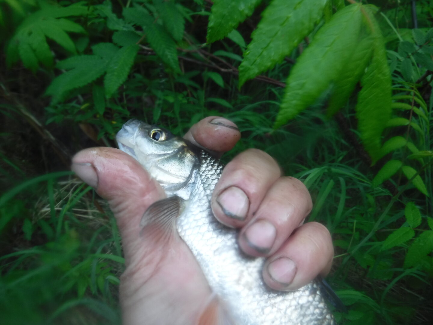 DSCF9344.JPG