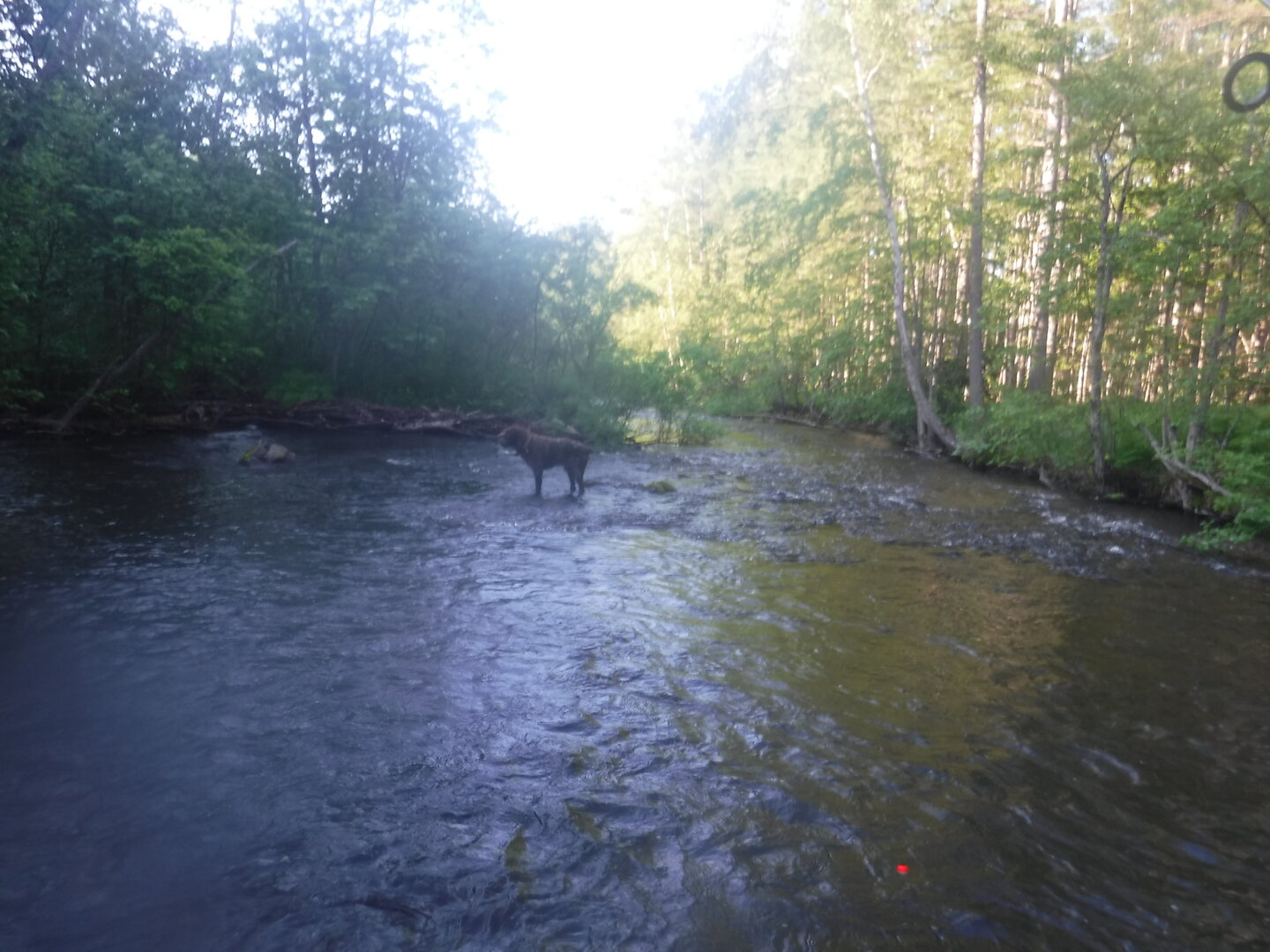 DSCF9349.JPG