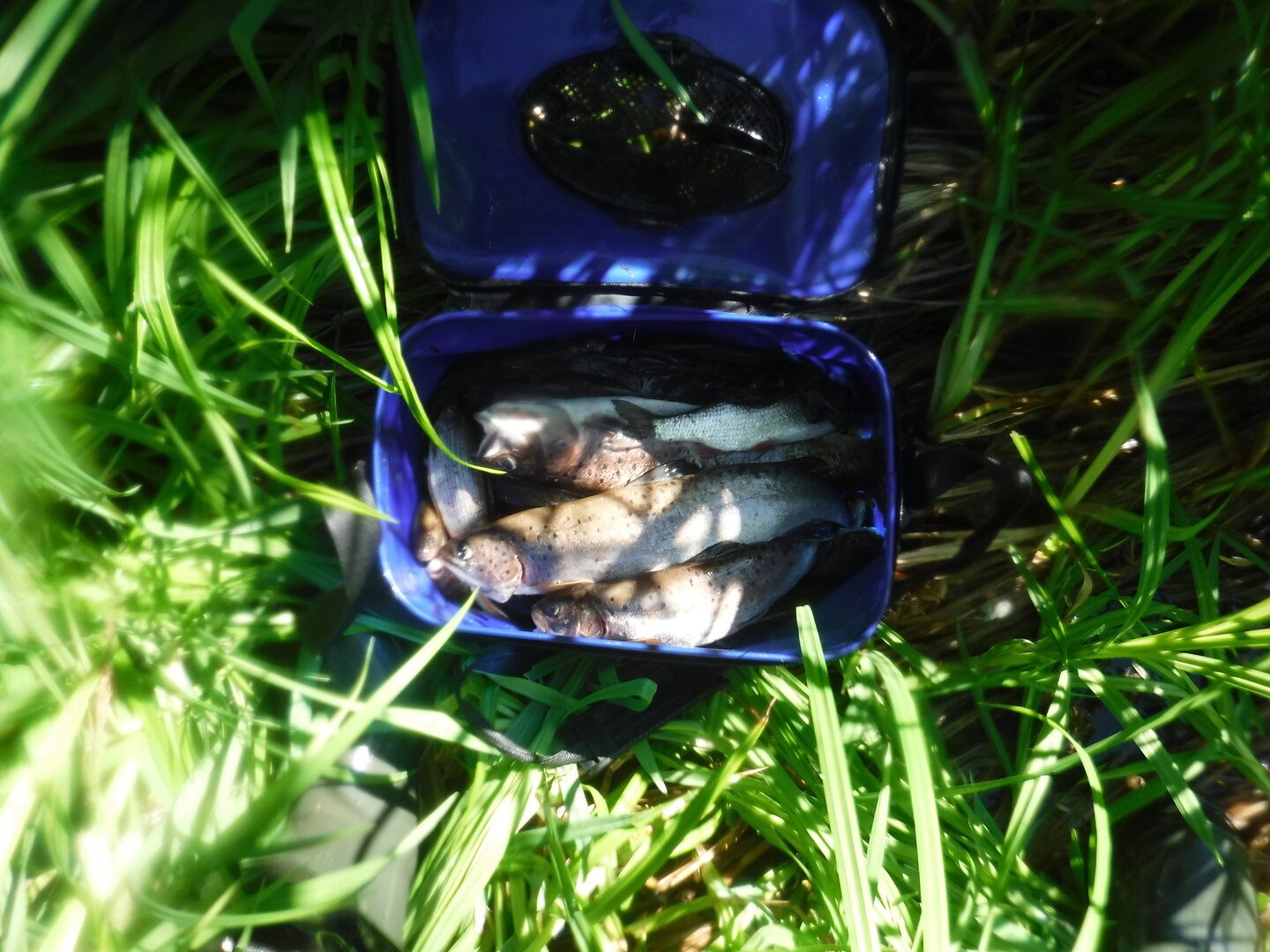 DSCF9355.JPG