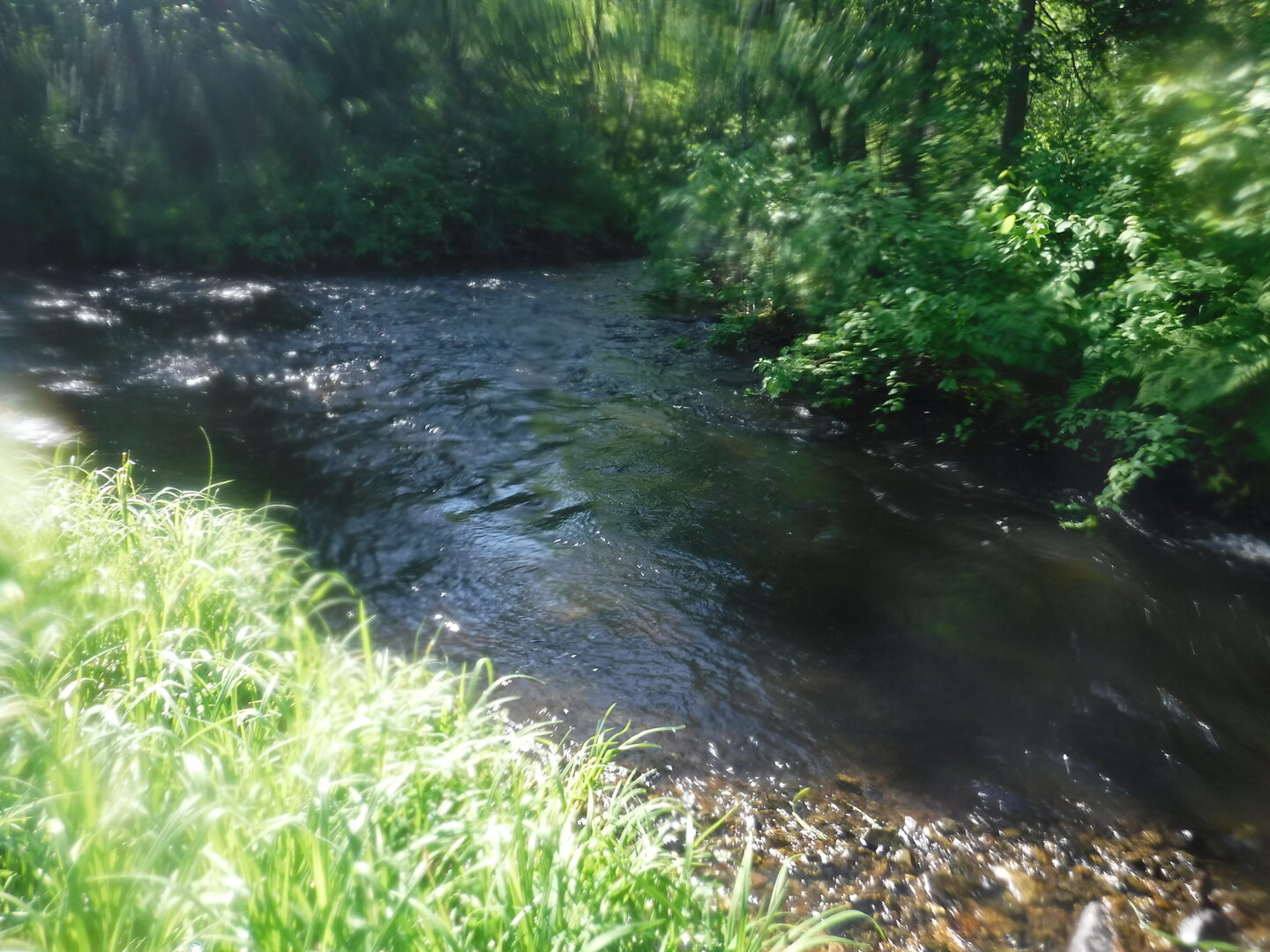 DSCF9358.JPG