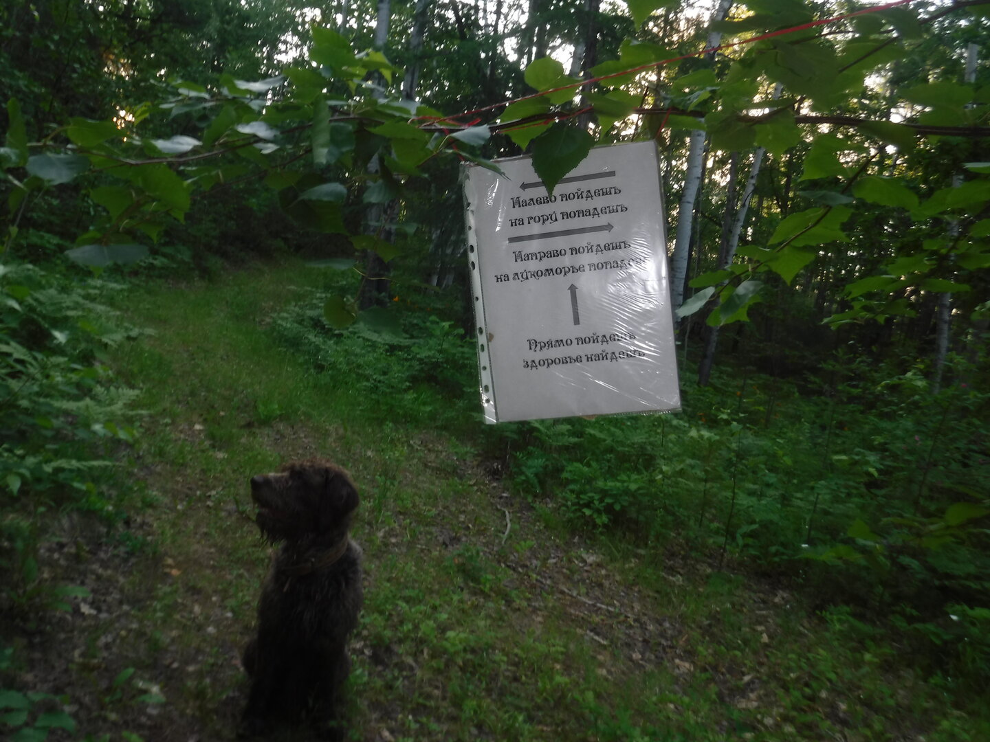 DSCF9365.JPG
