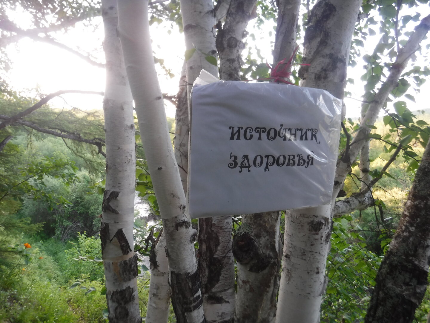 DSCF9370.JPG