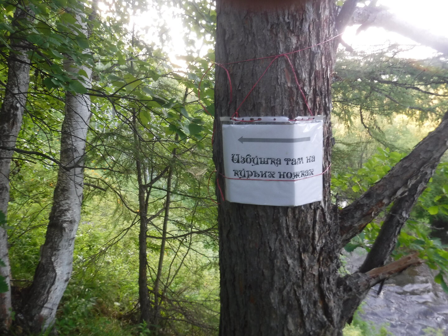 DSCF9371.JPG