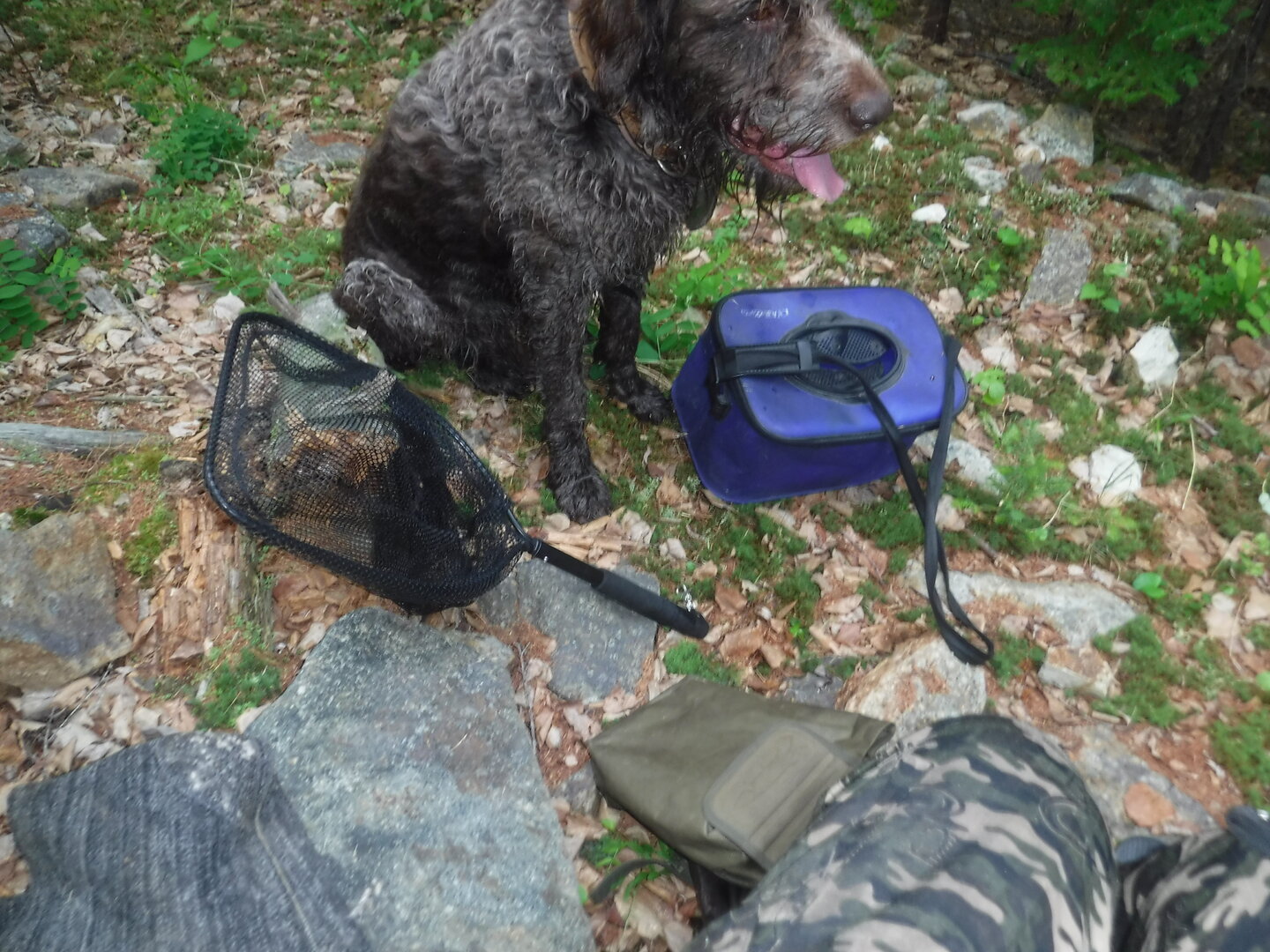 DSCF9374.JPG