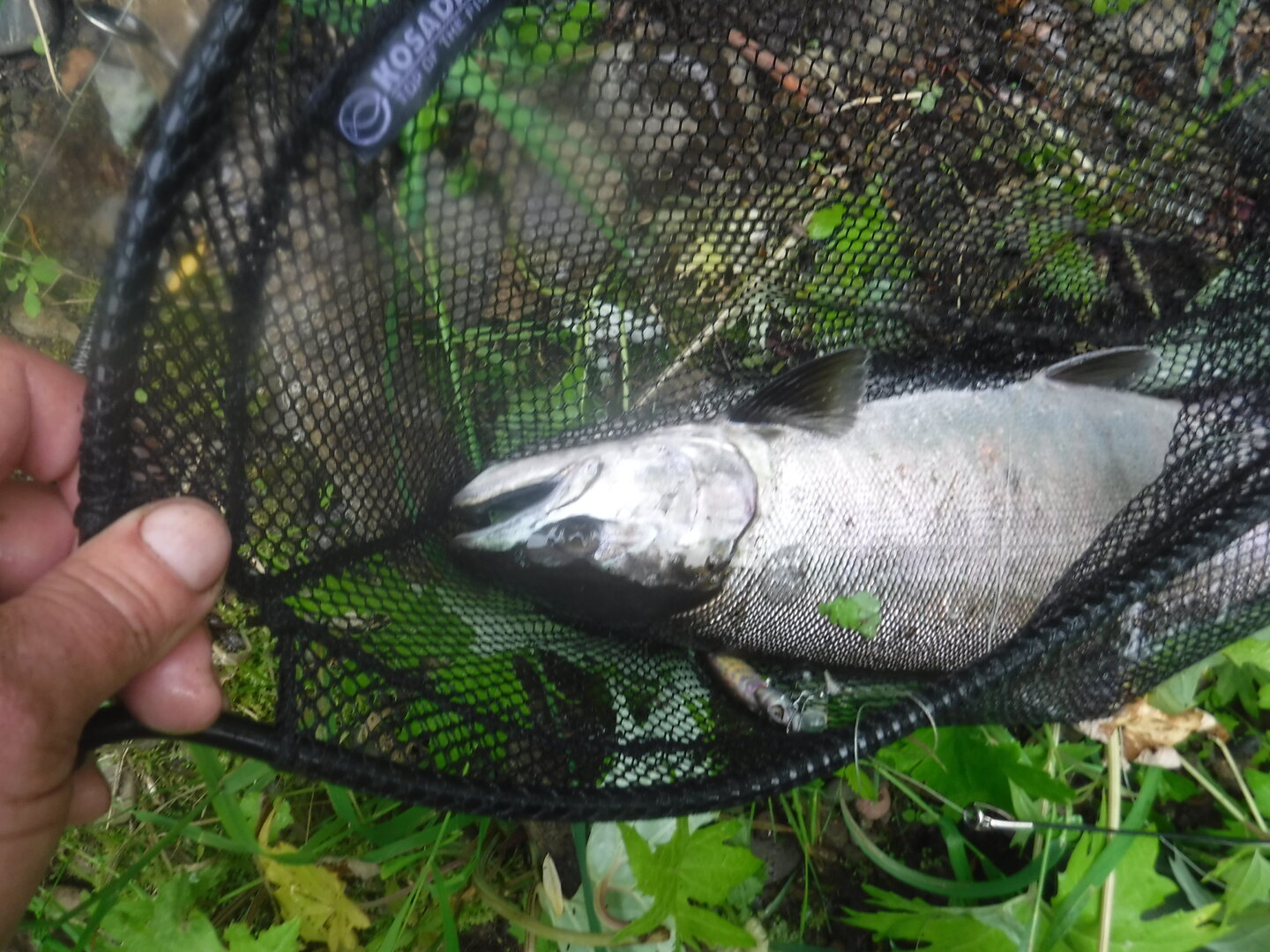 DSCF9379.JPG
