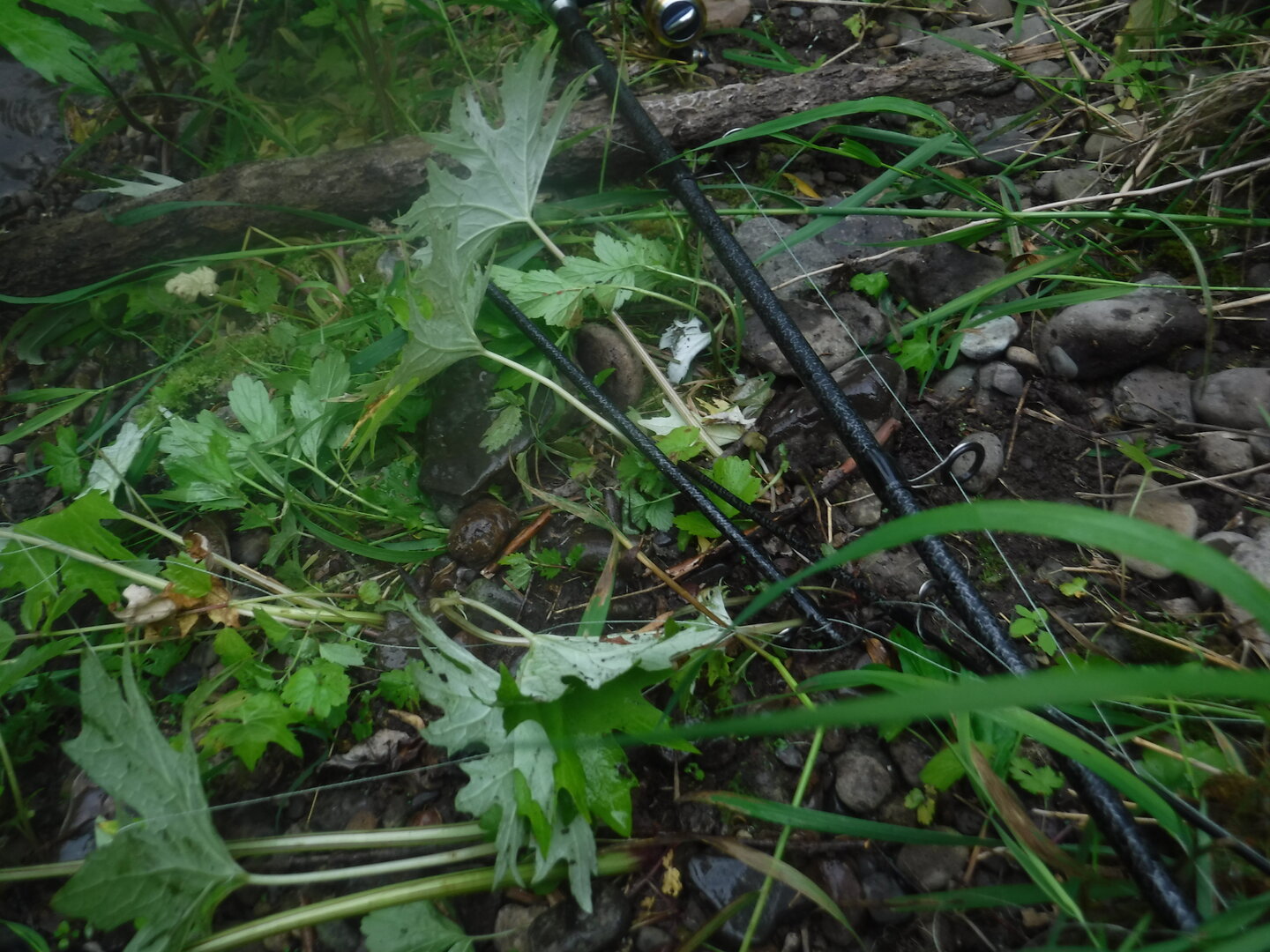 DSCF9380.JPG