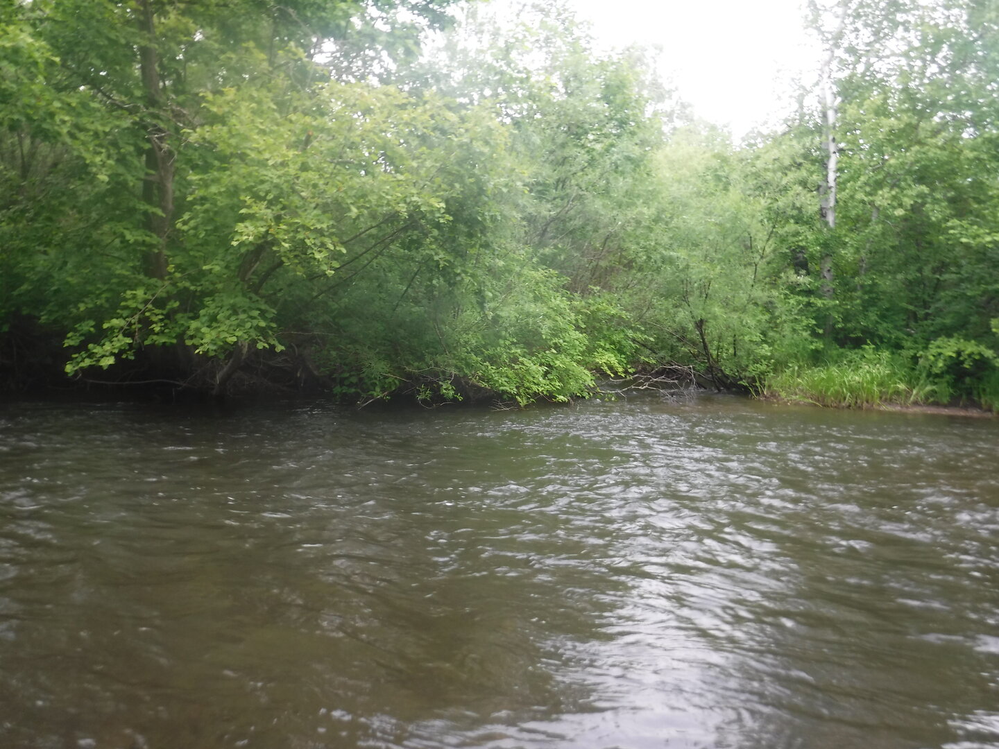 DSCF9381.JPG
