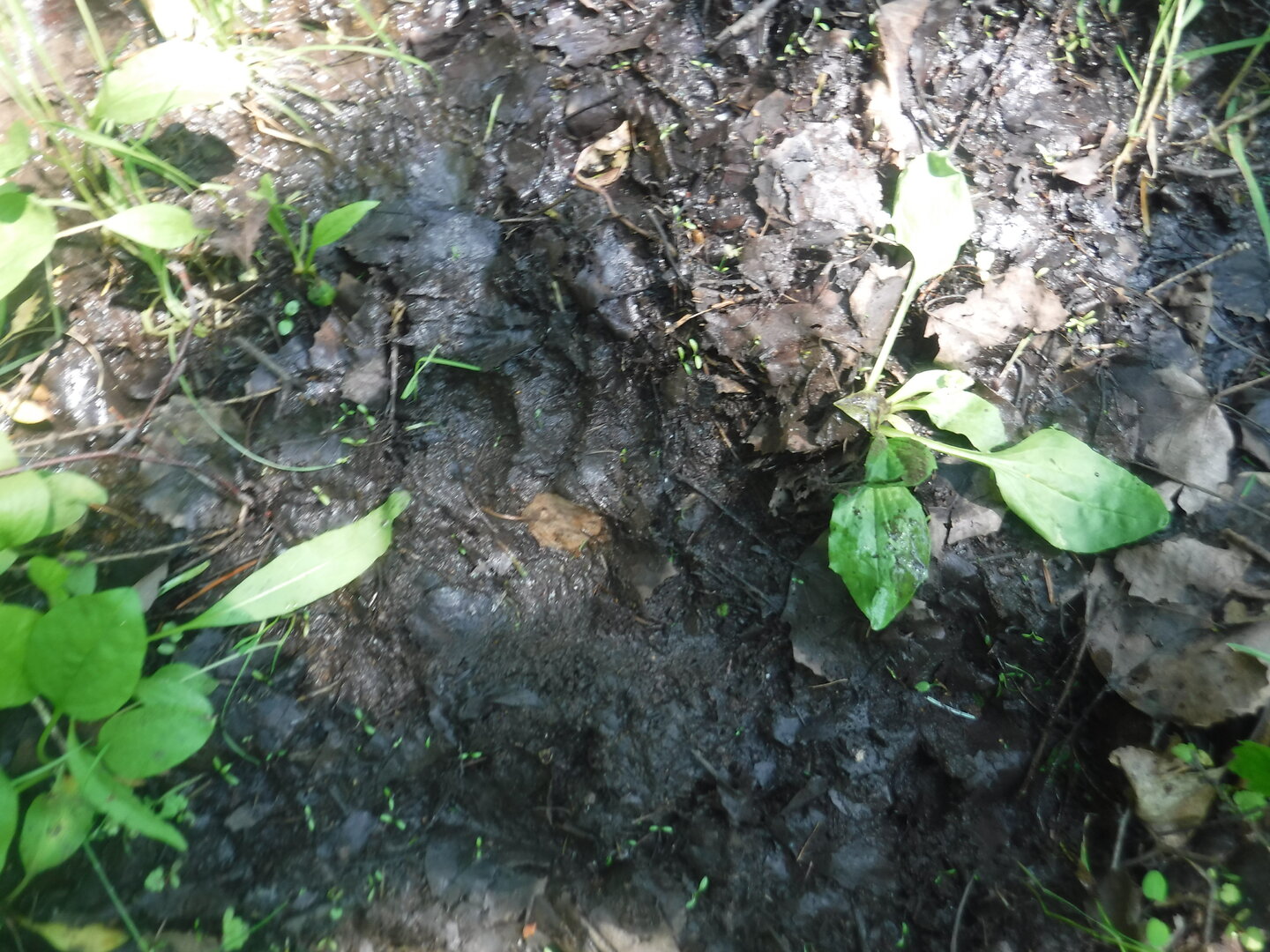 DSCF9389.JPG